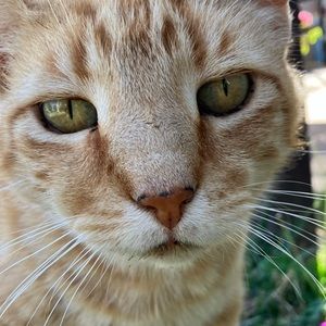 Meet your Posher, Cindy